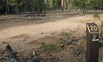 Camping near Big Pine Cabins: Black Canyon Rim Campground (apache-sitgreaves National Forest, Az), Forest Lakes, Arizona