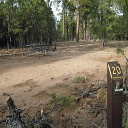 Black Canyon Rim Campground (apache-sitgreaves National Forest, Az)