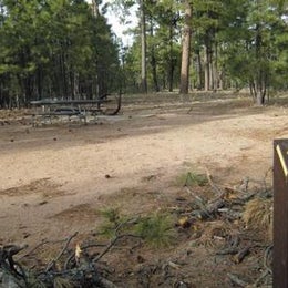 Public Campgrounds: Black Canyon Rim Campground (apache-sitgreaves National Forest, Az)