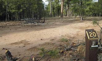 Black Canyon Rim Campground (apache-sitgreaves National Forest, Az)