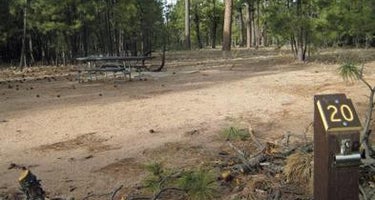 Black Canyon Rim Campground (apache-sitgreaves National Forest, Az)