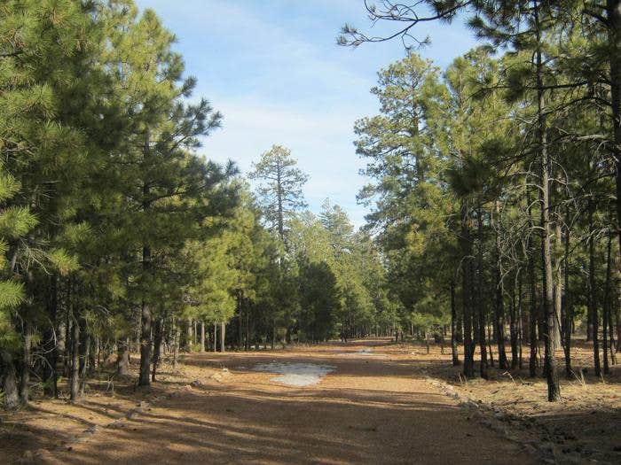 view of entrance to Black Canyon Rim Campground



Black Canyon Rim Campground

Credit: USDA FS Black Mesa