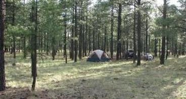 Benny Creek Campground