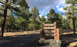 Camping near Grand Canyon Oasis : Oleary Group Site, Flagstaff, Arizona