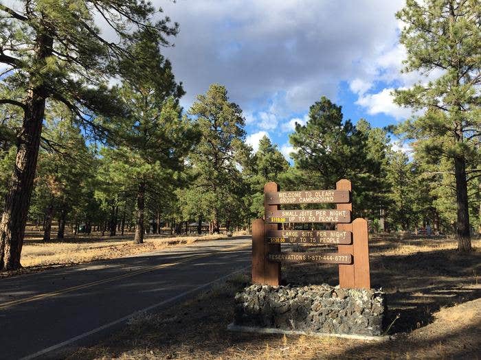 Arizona’s Hidden Gem: O’Leary Group Campground – A Family Adventure Awaits!