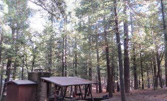 Camping near Molino Basin Campground: Showers Point Group Site, Willow Canyon, Arizona