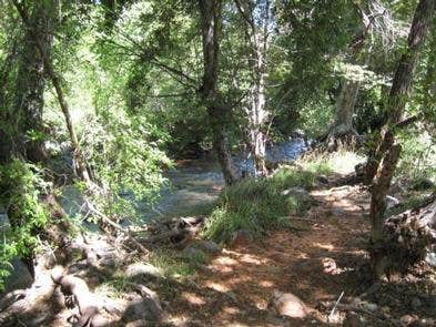 Camper submitted image from Chavez Crossing - 5