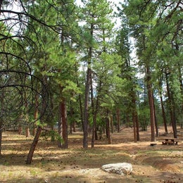 Public Campgrounds: Mather Campground — Grand Canyon National Park