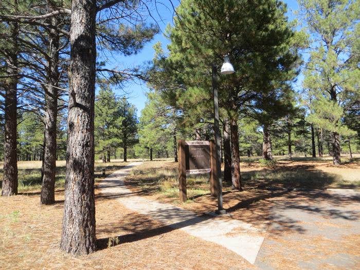 Pinegrove Campground Paved Path



Credit: RRM