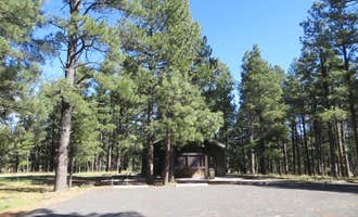 Camping near Meteor Crater RV Park: Pinegrove Campground, Mormon Lake, Arizona