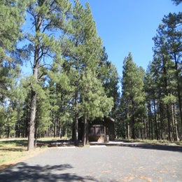 Public Campgrounds: Pinegrove Campground