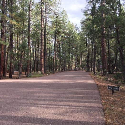 Ponderosa Campground (AZ) Tonto National Forest Camping The Dyrt