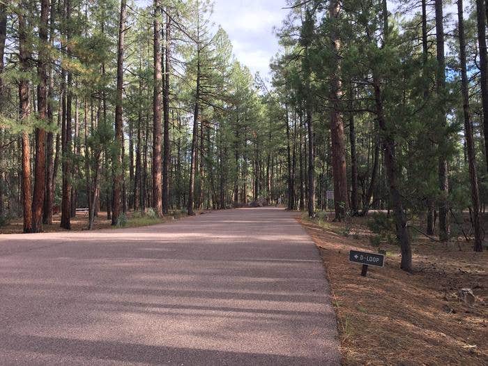 Camper submitted image from Ponderosa Campground (AZ) Tonto National Forest - 4