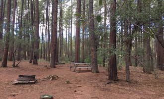 Camping near Christopher Creek: Ponderosa Campground (AZ) Tonto National Forest, Kohls Ranch, Arizona