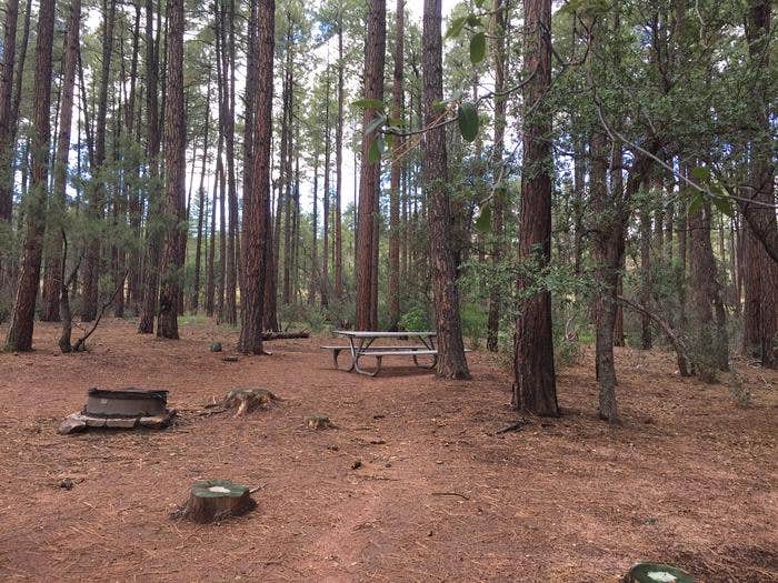 Camper submitted image from Ponderosa Campground (AZ) Tonto National Forest - 1