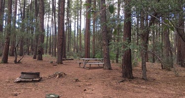 Ponderosa  Campground (AZ) Tonto National Forest