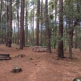 Public Campgrounds: Ponderosa Campground (AZ) Tonto National Forest