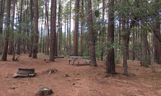 Camping near Lamplighter RV Resort: Ponderosa Campground (AZ) Tonto National Forest, Kohls Ranch, Arizona