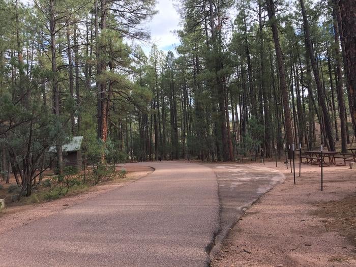 Camper submitted image from Ponderosa Campground (AZ) Tonto National Forest - 2