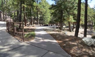 Camping near Spencer Canyon Campground: Whitetail Campground, Willow Canyon, Arizona