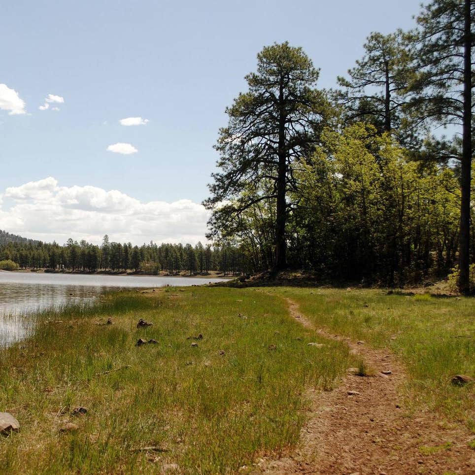 Dogtown Lake Campground And Group Camping The Dyrt