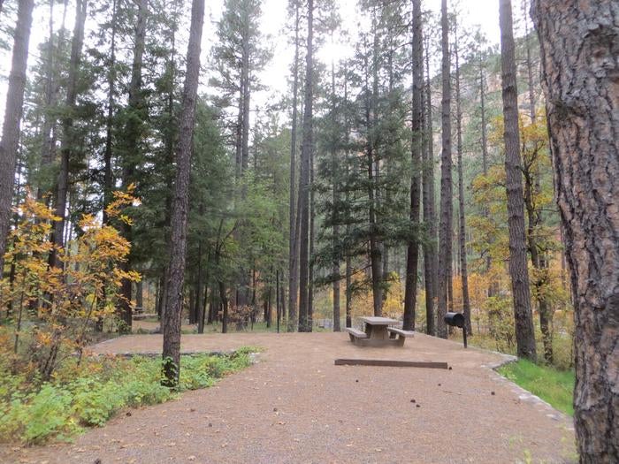 Camper submitted image from Pine Flat Campground West - 5