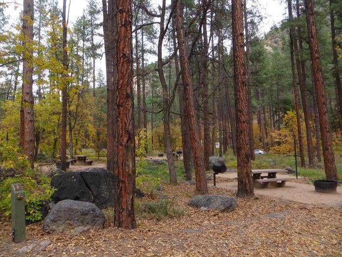 Pine Flats Campground in the Fall



Credit: RRM