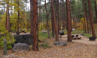 Camping near Fernow Cabin: Pine Flat Campground West, Munds Park, Arizona