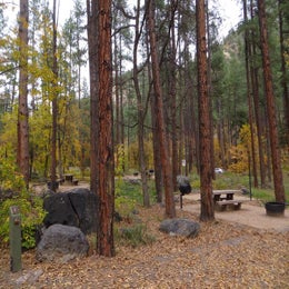 Public Campgrounds: Pine Flat Campground West