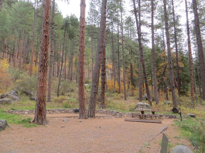 Pine Flats Campground surrounded by Coconino Forest



Credit: RRM