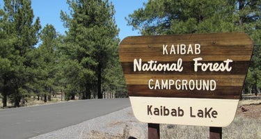 Kaibab Lake Sites And Group Areas