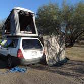 Review photo of Catalina State Park Campground by Megan B., September 10, 2016