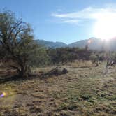 Review photo of Catalina State Park Campground by Megan B., September 10, 2016