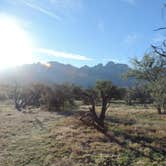 Review photo of Catalina State Park Campground by Megan B., September 10, 2016
