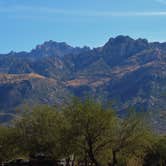 Review photo of Catalina State Park Campground by Megan B., September 10, 2016