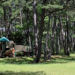 Public Campgrounds: Heber Springs