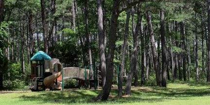 Camper submitted image from Heber Springs