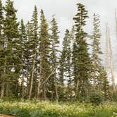 Review photo of Point Supreme Campground — Cedar Breaks National Monument by Megan B., September 10, 2016