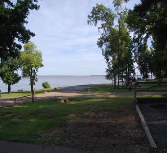 Camper-submitted photo from Beard's Bluff Park (AR)