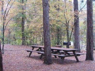 Camper submitted image from Blanchard Springs Campgrounds - 1