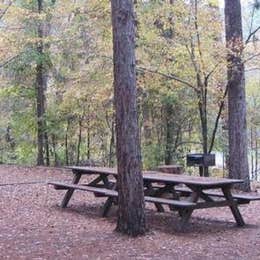 Public Campgrounds: Blanchard Springs Campgrounds