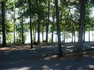 Camper submitted image from Cove Lake Recreation Area - 2