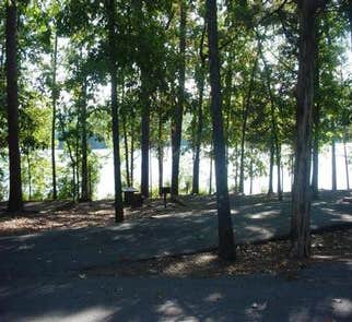 Camper-submitted photo from Ozark National Forest Cove Lake Campground