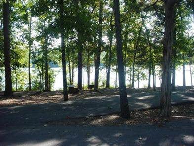 Camper submitted image from Ozark National Forest Cove Lake Campground - 2