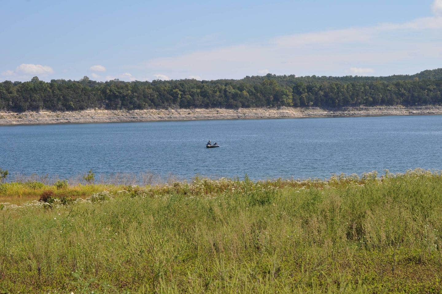 Camper submitted image from COE Bull Shoals Lake Buck Creek Park - 5