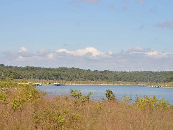 Camper submitted image from COE Bull Shoals Lake Buck Creek Park - 3