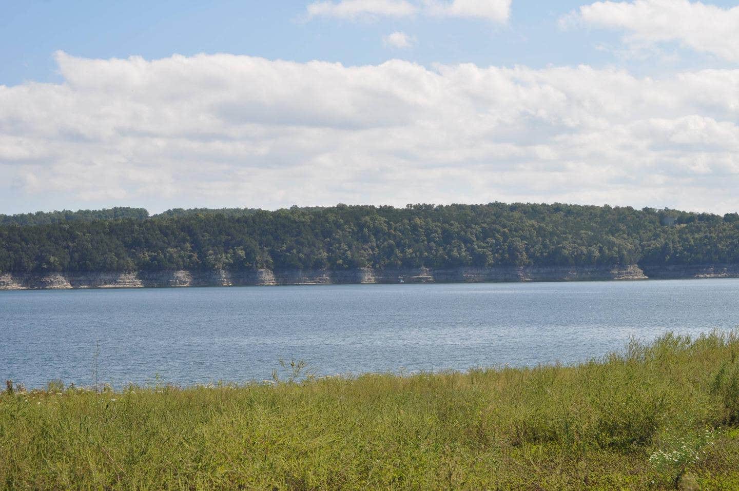 Camper submitted image from COE Bull Shoals Lake Buck Creek Park - 1