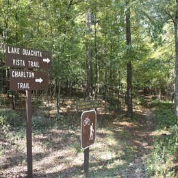 Public Campgrounds: COE Lake Ouachita Crystal Springs Campground