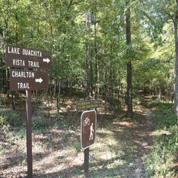 COE Lake Ouachita Crystal Springs Campground