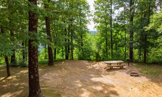 Camping near Turner Bend Outfitter: White Rock Mountain Recreation Area, Combs, Arkansas